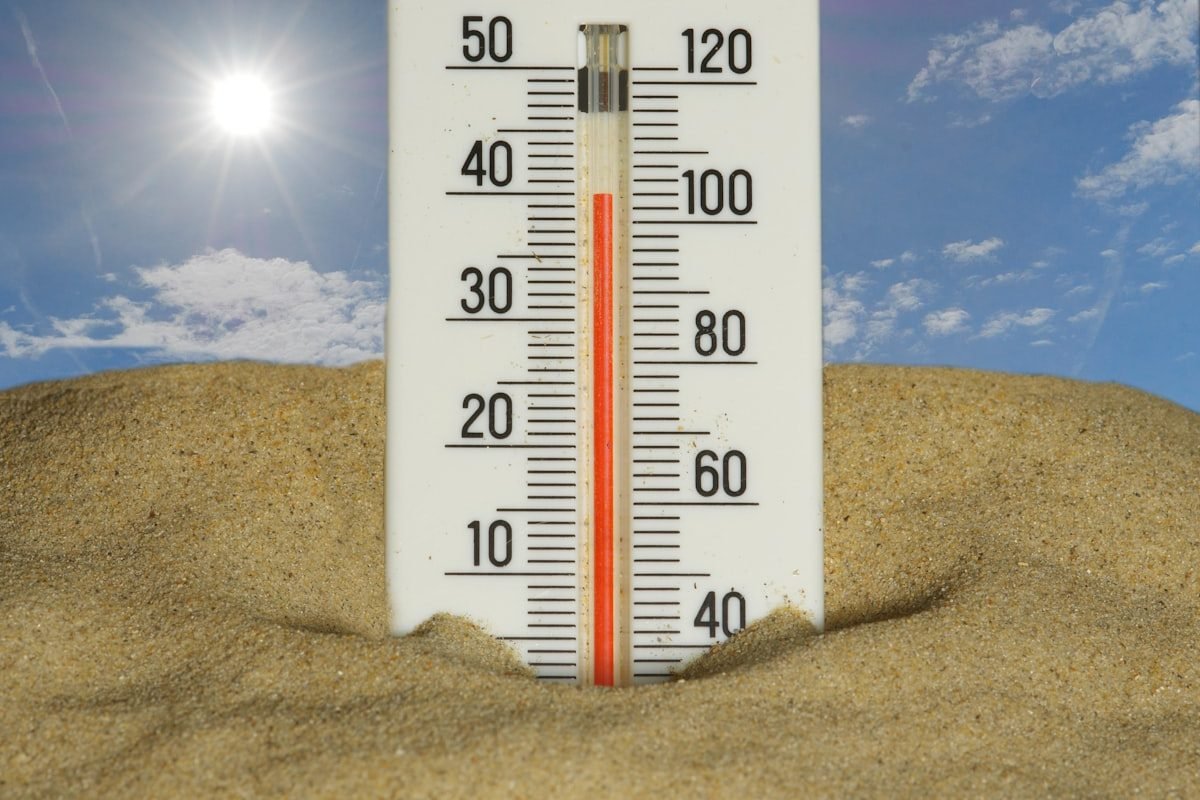 Climate Change Pest Demand - illustration